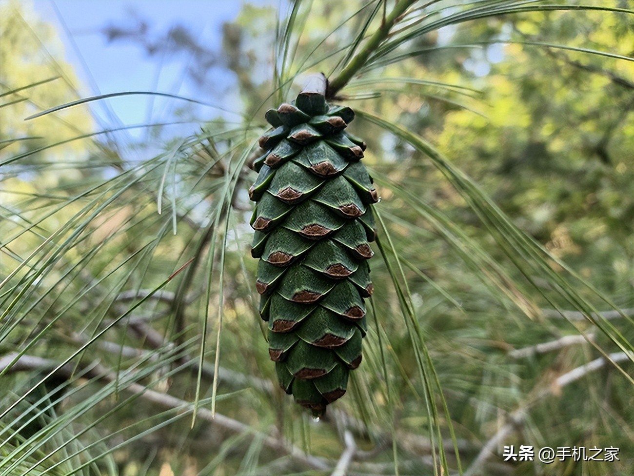 小折叠屏oppofindx2,oppofindn2大折叠测评