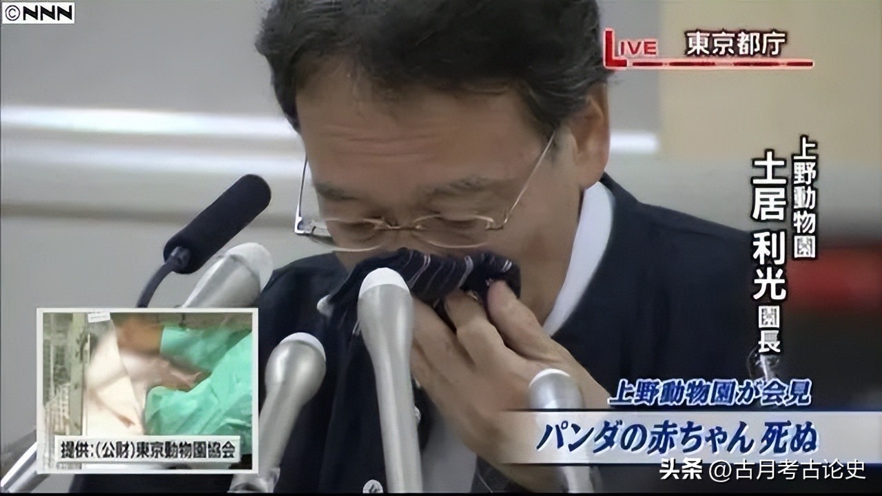 旅日大熊猫回国日本人反应,四只旅日大熊猫陆续归国