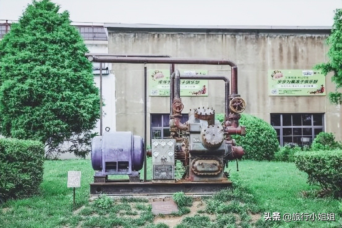 夏日海边浪漫迷人,滨城风光秀丽浪漫气息爆表