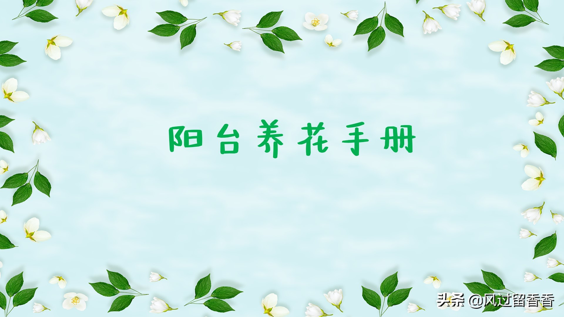 阳台养花教程推荐,阳台养花教程新手入门