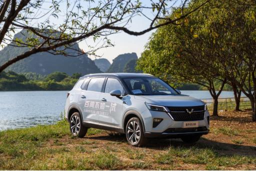 五菱星辰车主真实测评,五菱星辰油耗车主真实感受