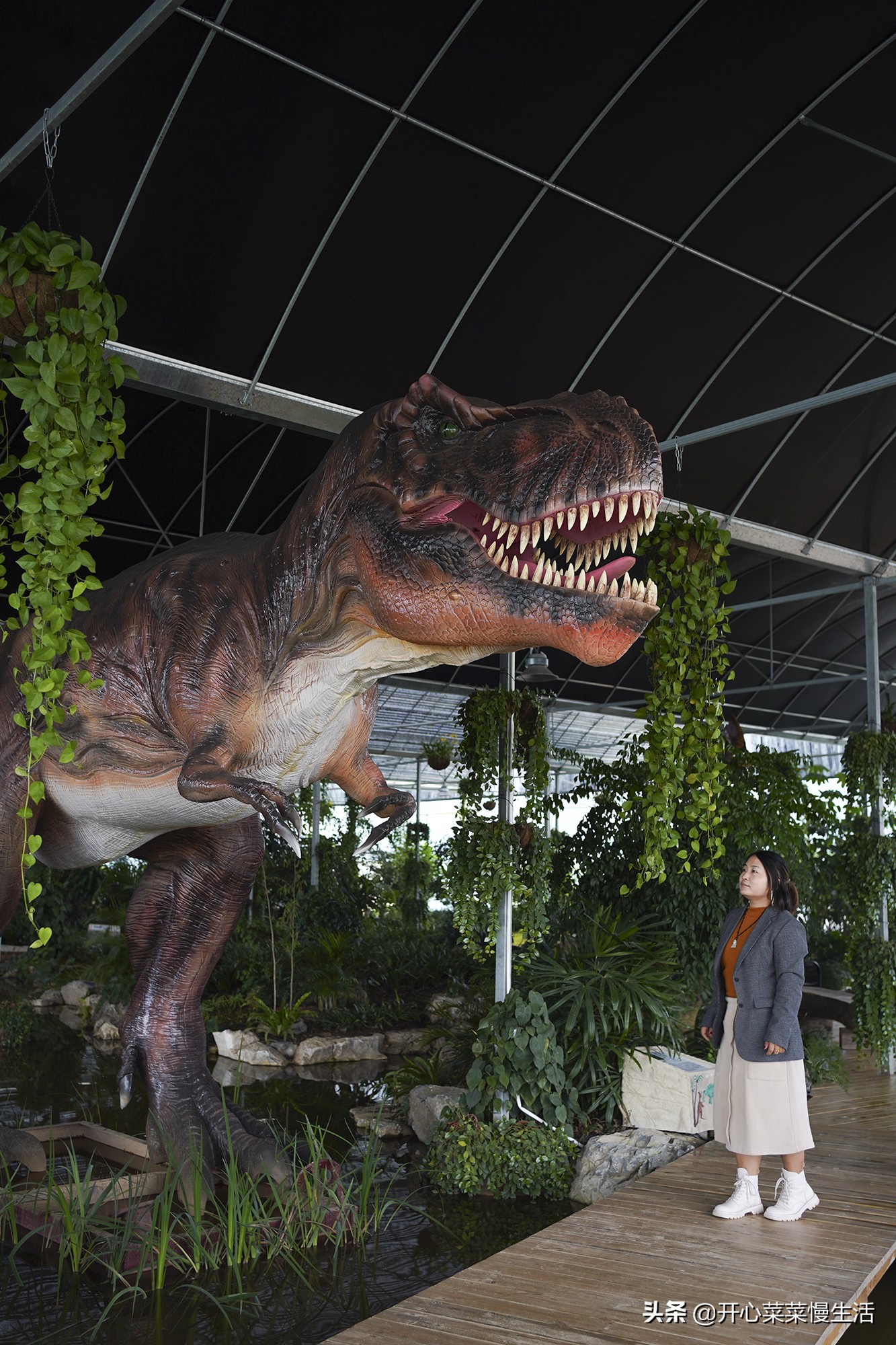 广东兰花第一县,中国最漂亮的兰花小镇