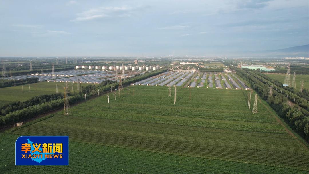 邂逅千年古山西,孝义融媒捷报频传