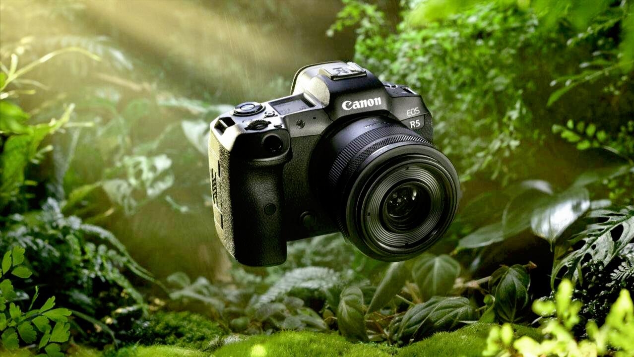 无反佳能尼康索尼镜头评测,索尼尼康佳能高端镜头特征