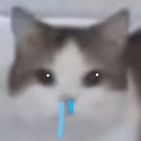 苹果面膜功效与作用,控油面膜功效与作用