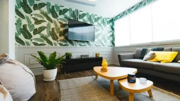 屋里放盆水能除甲醛吗,在房间放一盆水能除甲醛吗