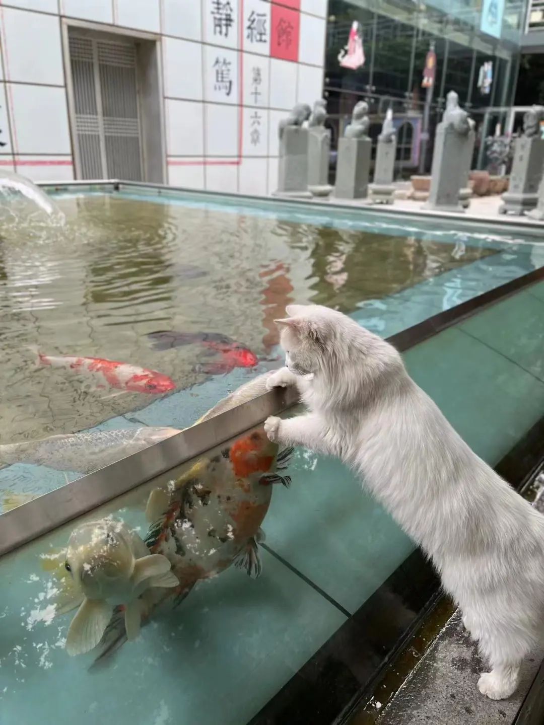 赵明明：上班摸鱼，是我的梦想!