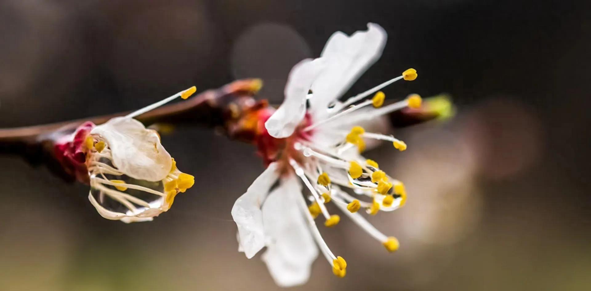 老头*戏调**了多少女孩？