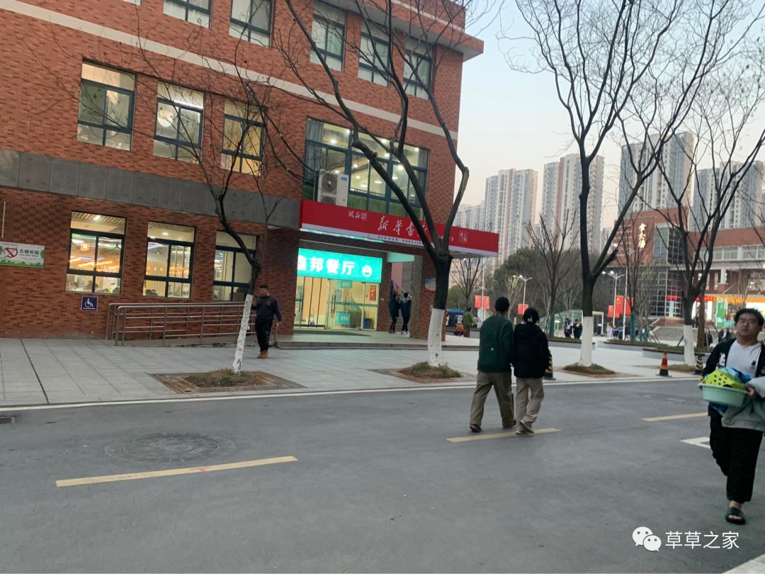 合肥一中有一个后花园，你进去玩过吗？早春里的一中后花园