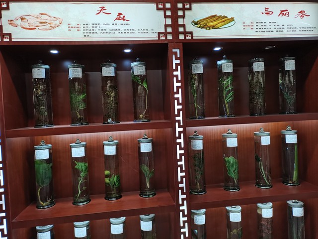 肺炎一号是特效药么,肺炎一号方获批临床使用方