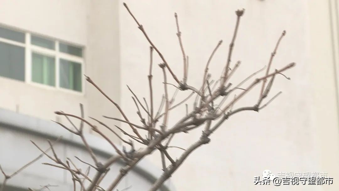 地震预警需要网络才能收到吗,地震预警小知识