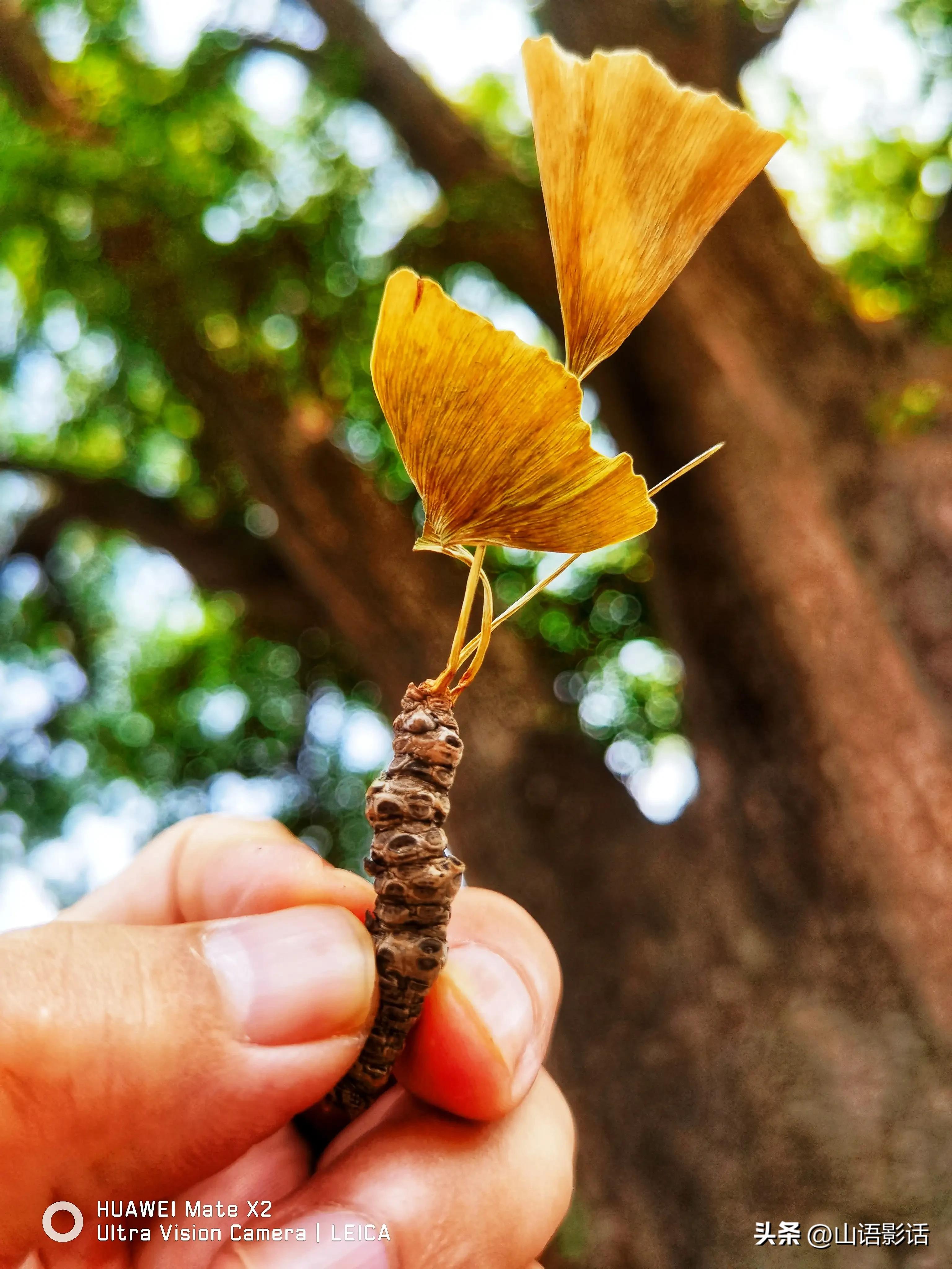 孩子生日寄语,生日寄语