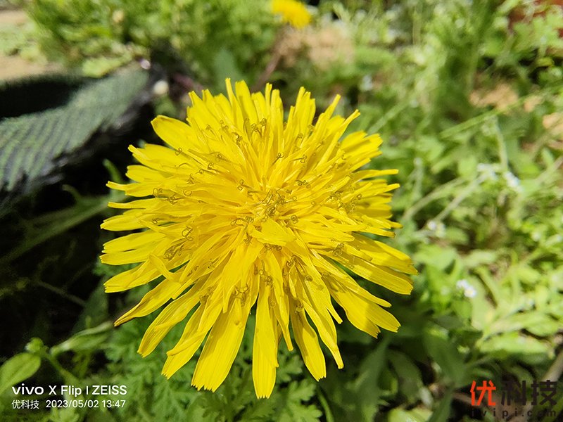 vivozflip颜值天花板,vivoxflip最新深度评测