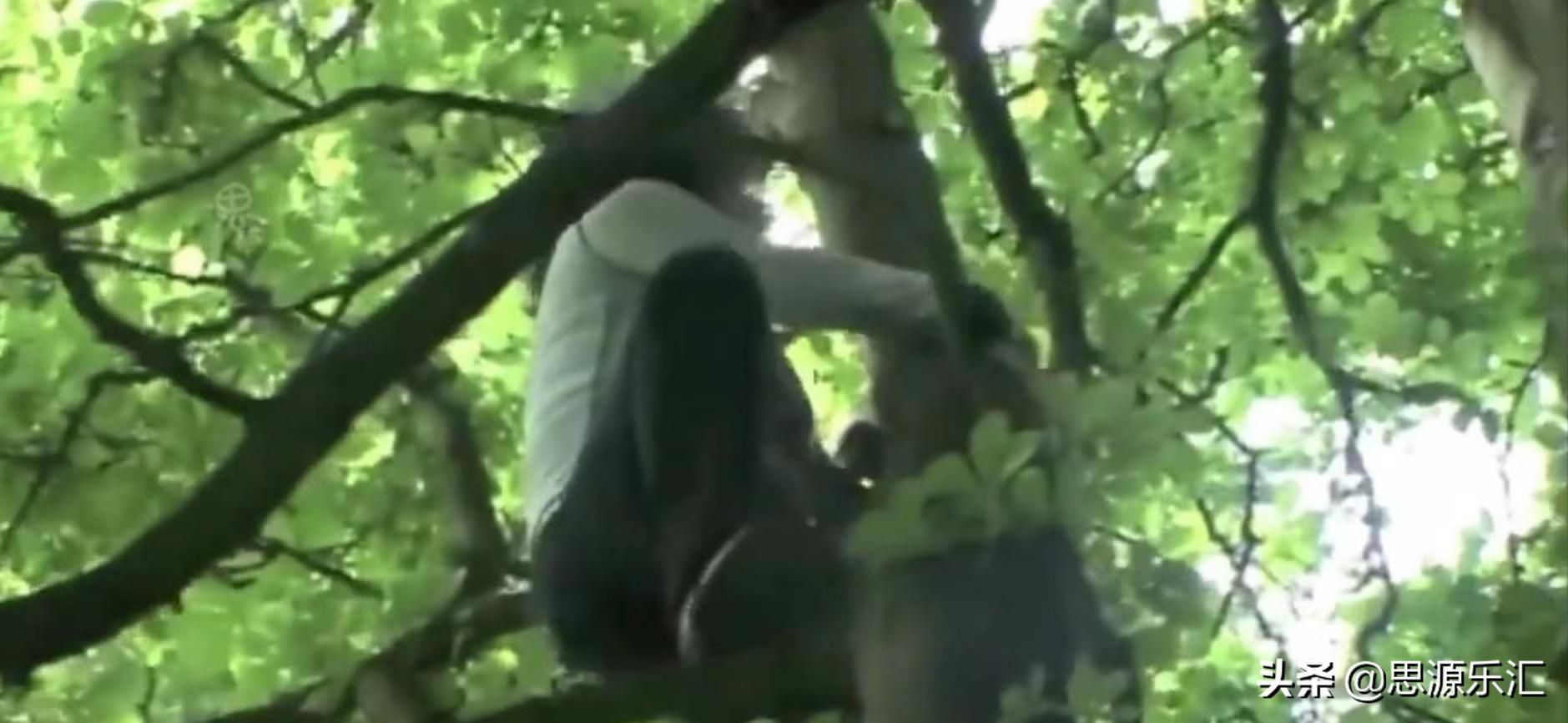 史上5大兽孩！狼孩、狗孩、小羚羊回归文明社会后，怎么样了呢？