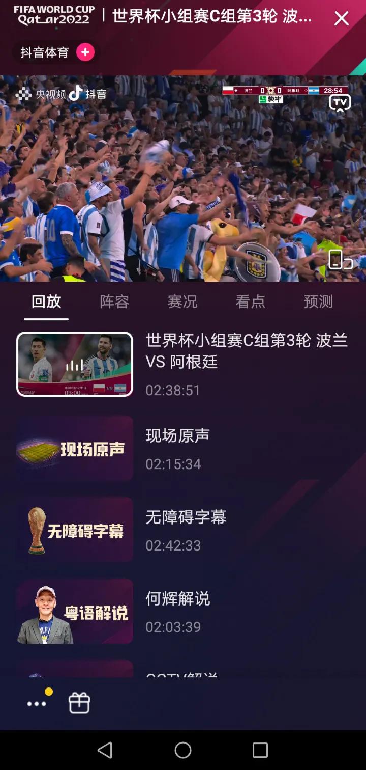 世界杯无障碍直播回放日本,世界杯直播录像回放日本