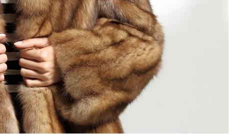 曾经2万元一件的皮草如今7000元,一件貂皮大衣几十万