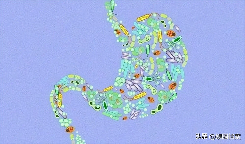 探究东部黑犀牛，激素代谢物和卵巢周期阶段肠道中微生物群的反应