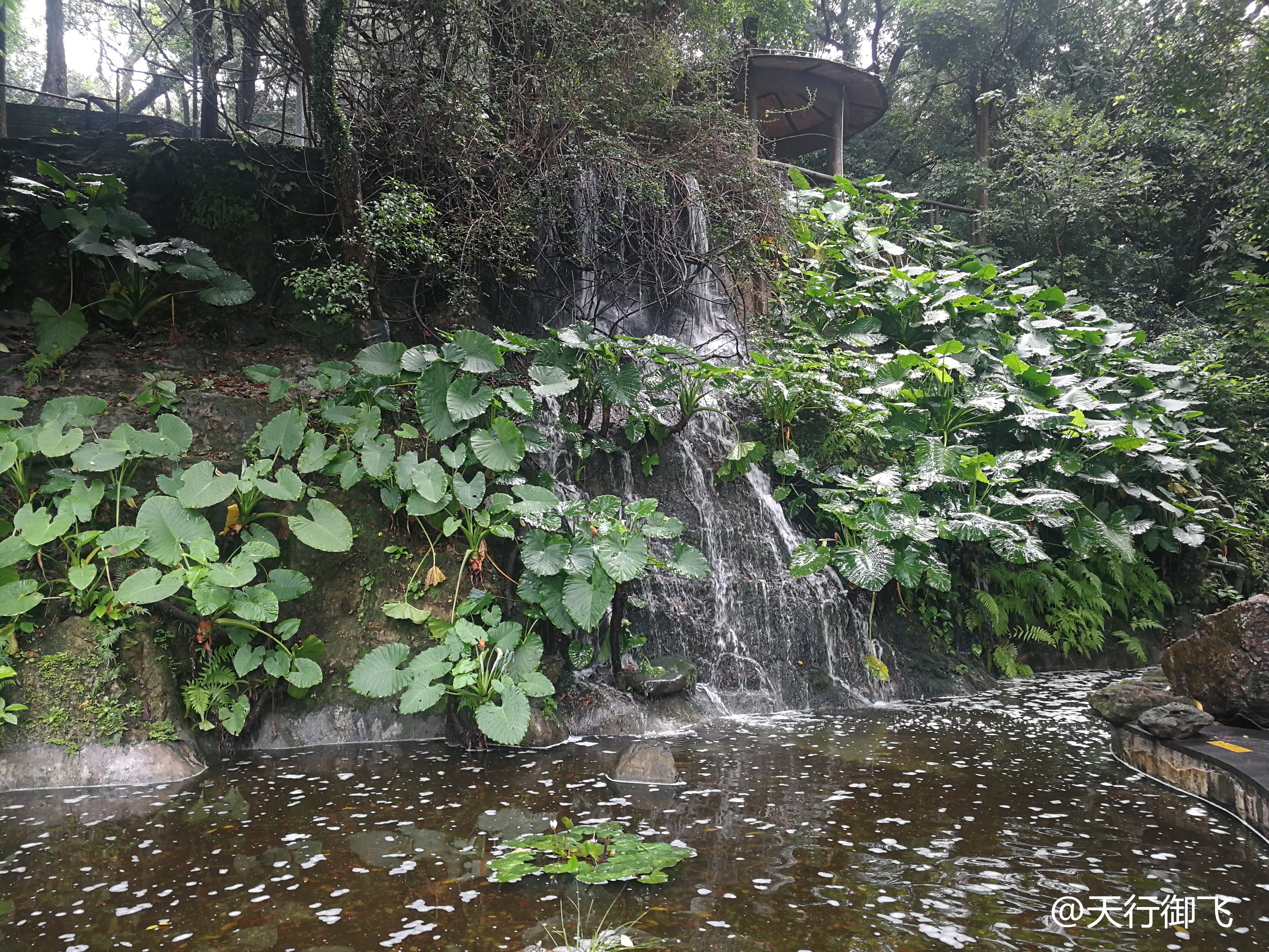 越秀公园游览最佳顺序,广州越秀公园旅游线路图