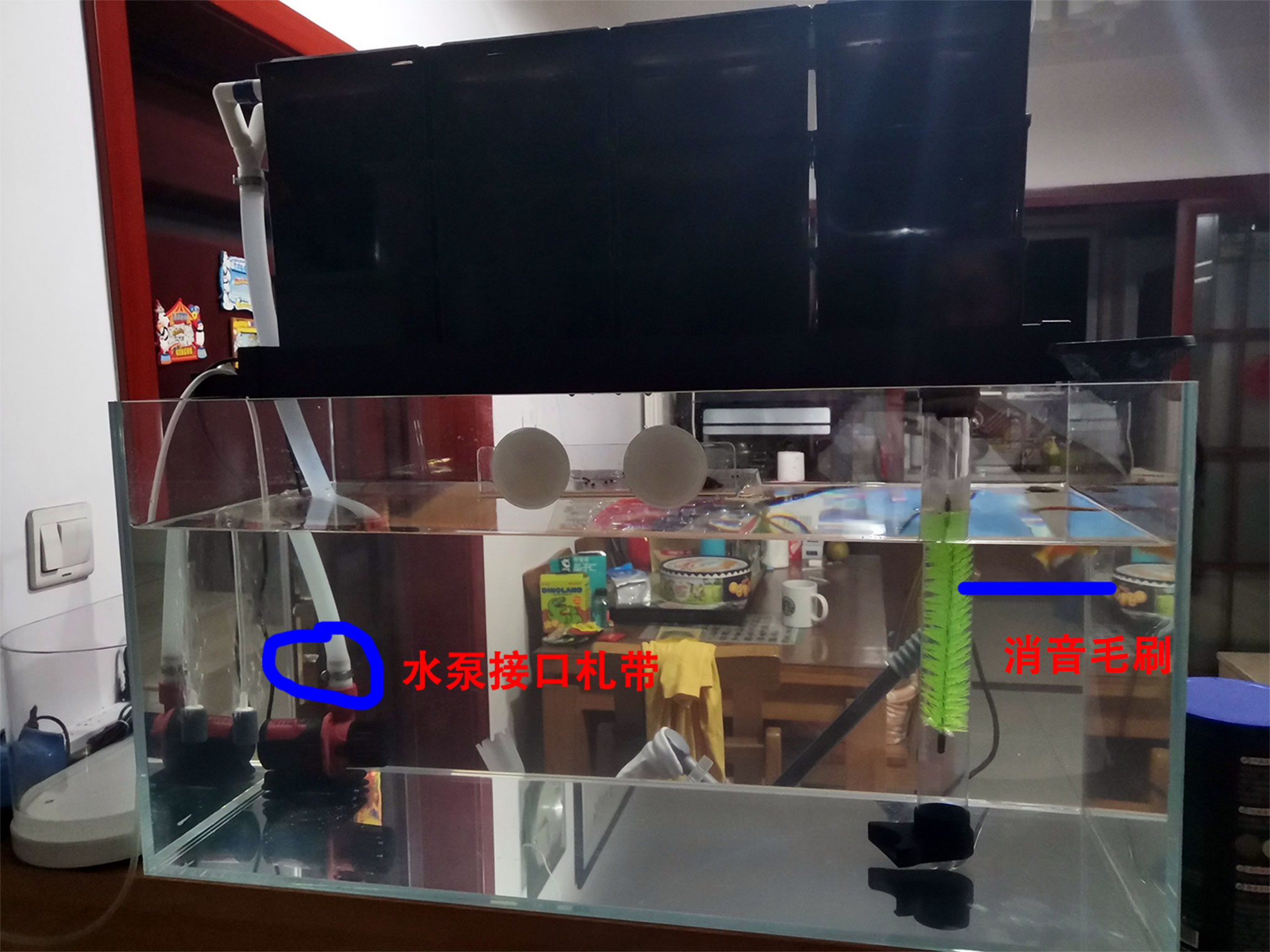 养鱼一定要开缸吗,新手养鱼开缸教程合集