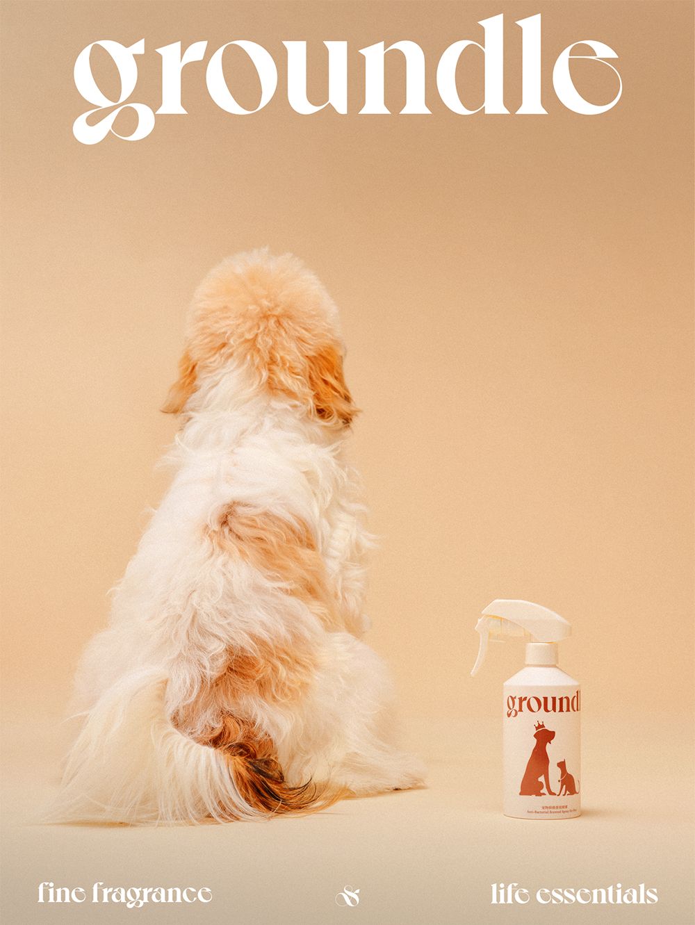 groundle棣欐皼鍠烽浘,groundle鎶栭煶