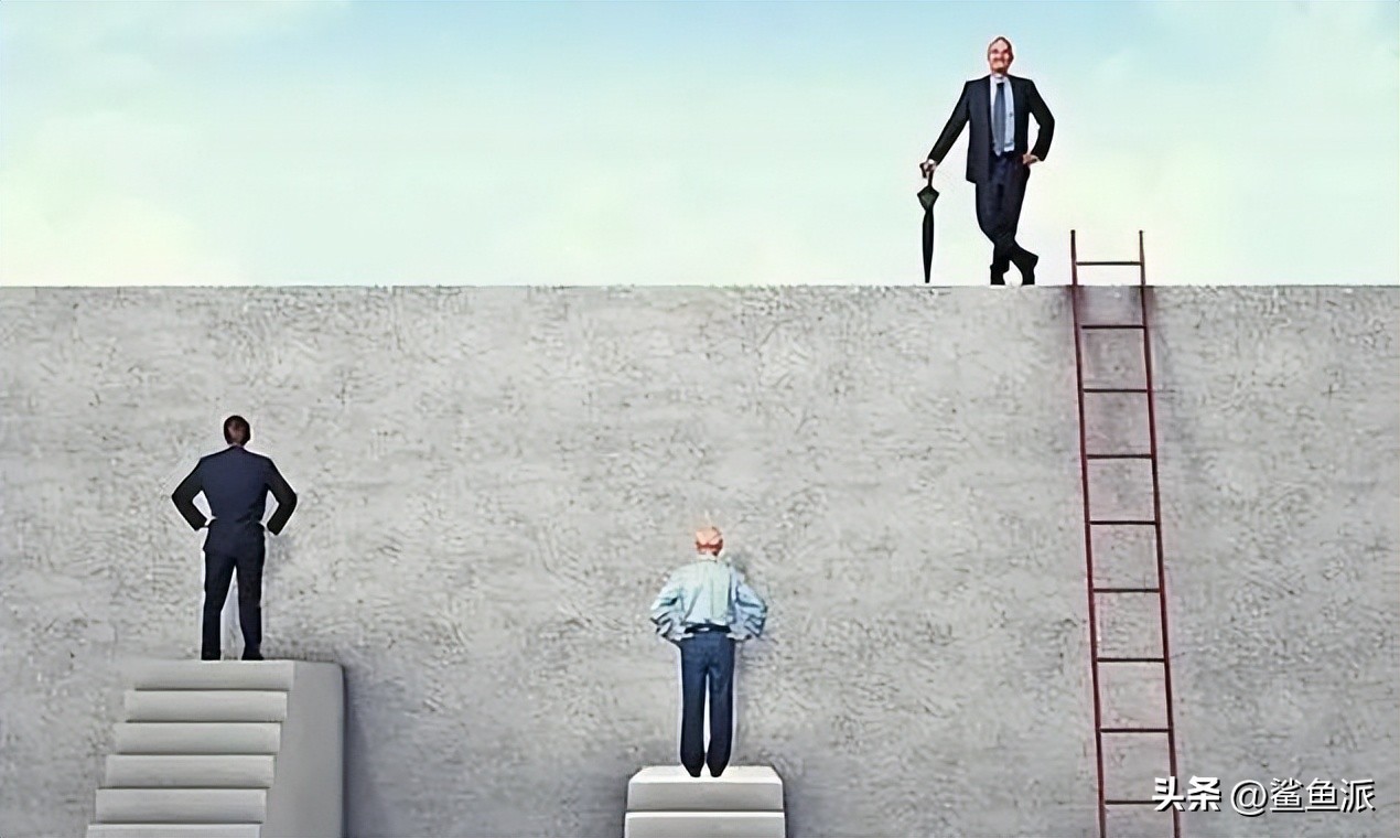 鲨鱼哥如何逆袭,鲨鱼哥深度解析