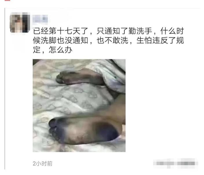 神回复：真假美猴王？哪个才是真的蜜雪冰城？神评亮了啊