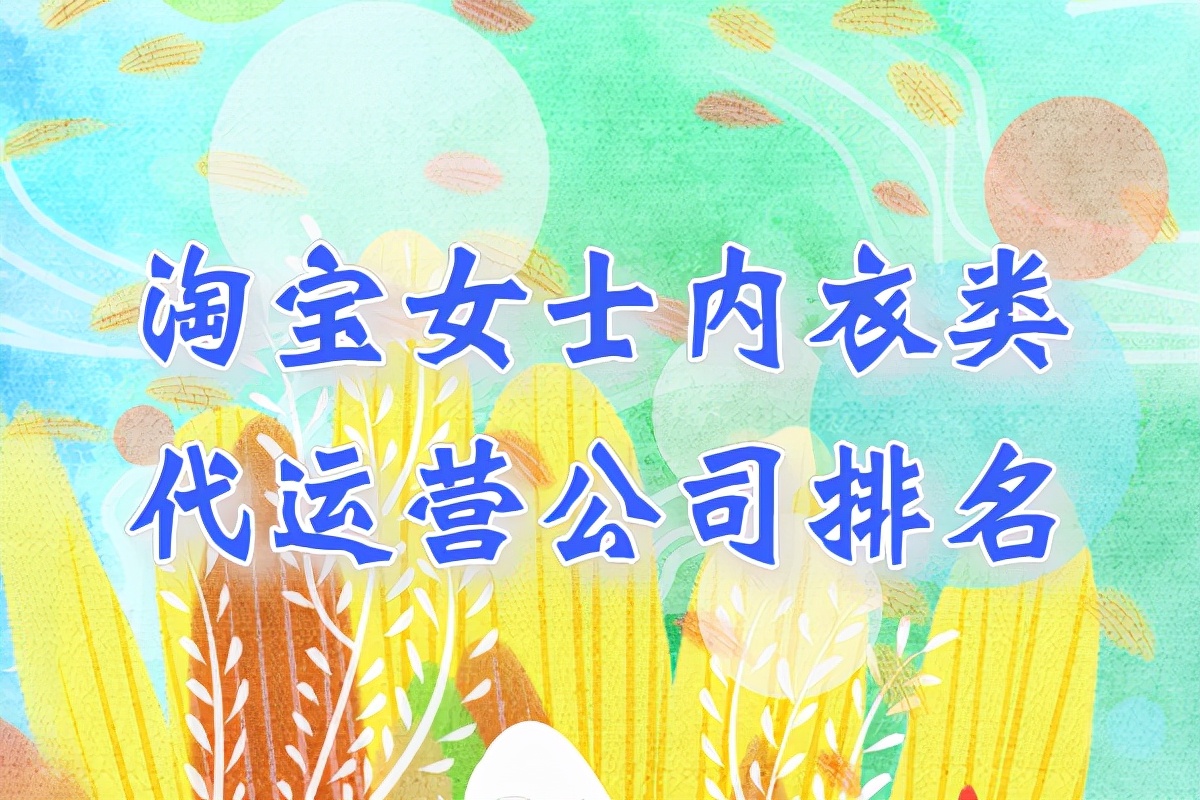 淘宝内衣类目运营思路,内衣淘宝代运营市场