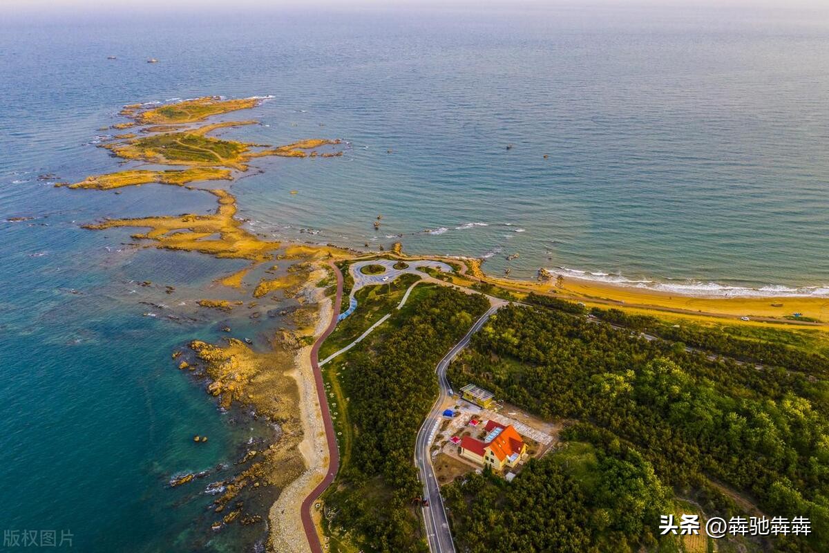 韩国出生率和结婚率,韩国出生率低为什么还不好找工作