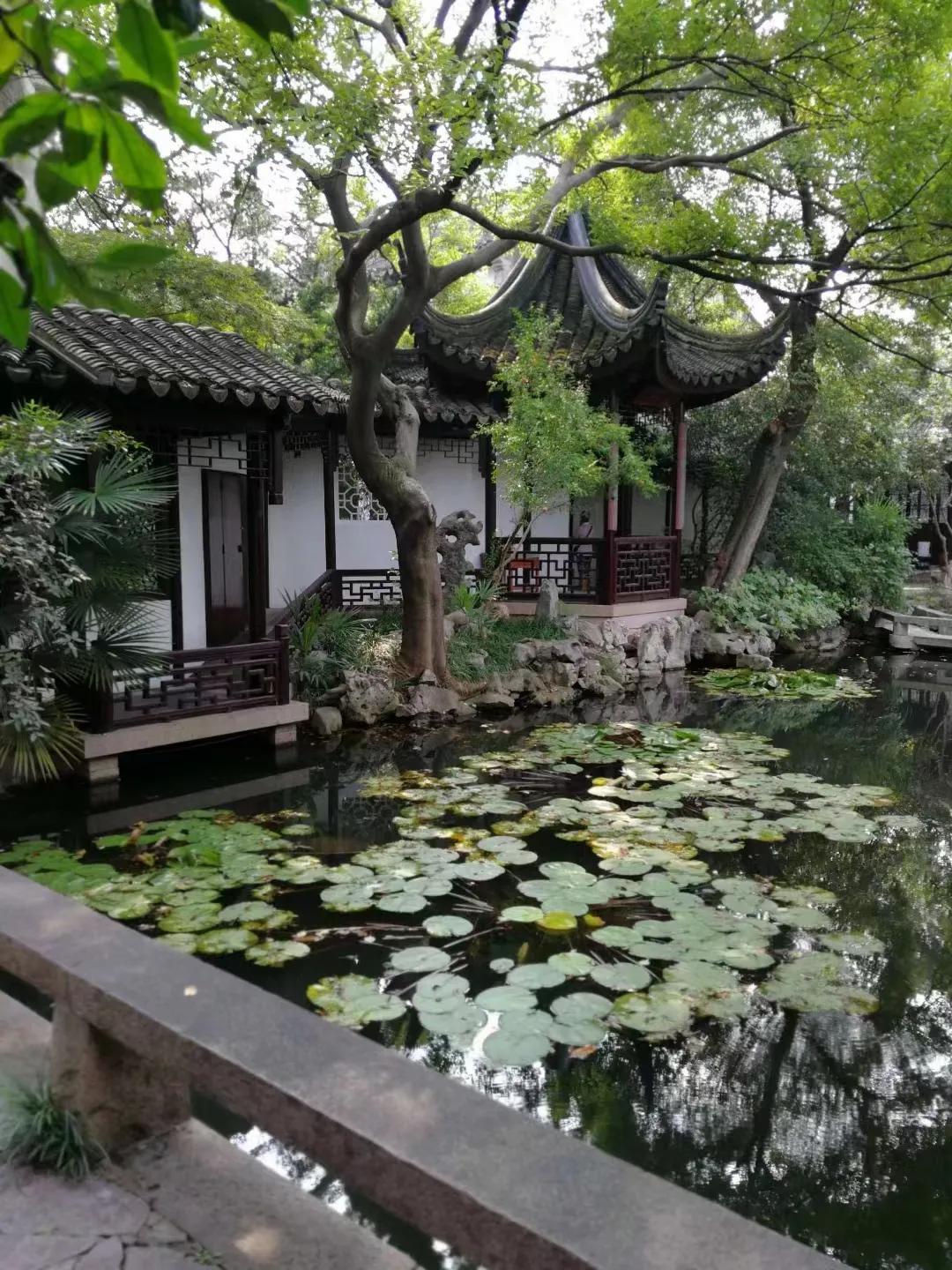 苏州畅园免费预约开放,苏州畅园开放参观吗