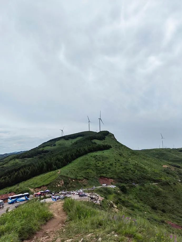 文化分享经典文章,文化分享感悟