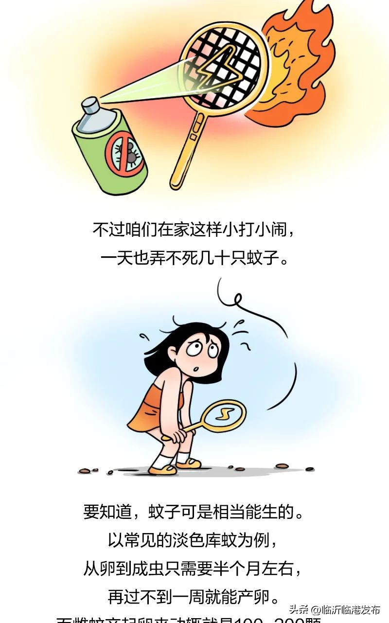 为什么不将蚊子赶尽杀绝,彻底绝杀蚊子的妙招