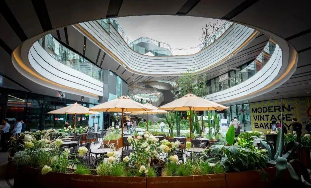 文旅户外露营最新消息,文旅资源在露营旅游中的利用策略