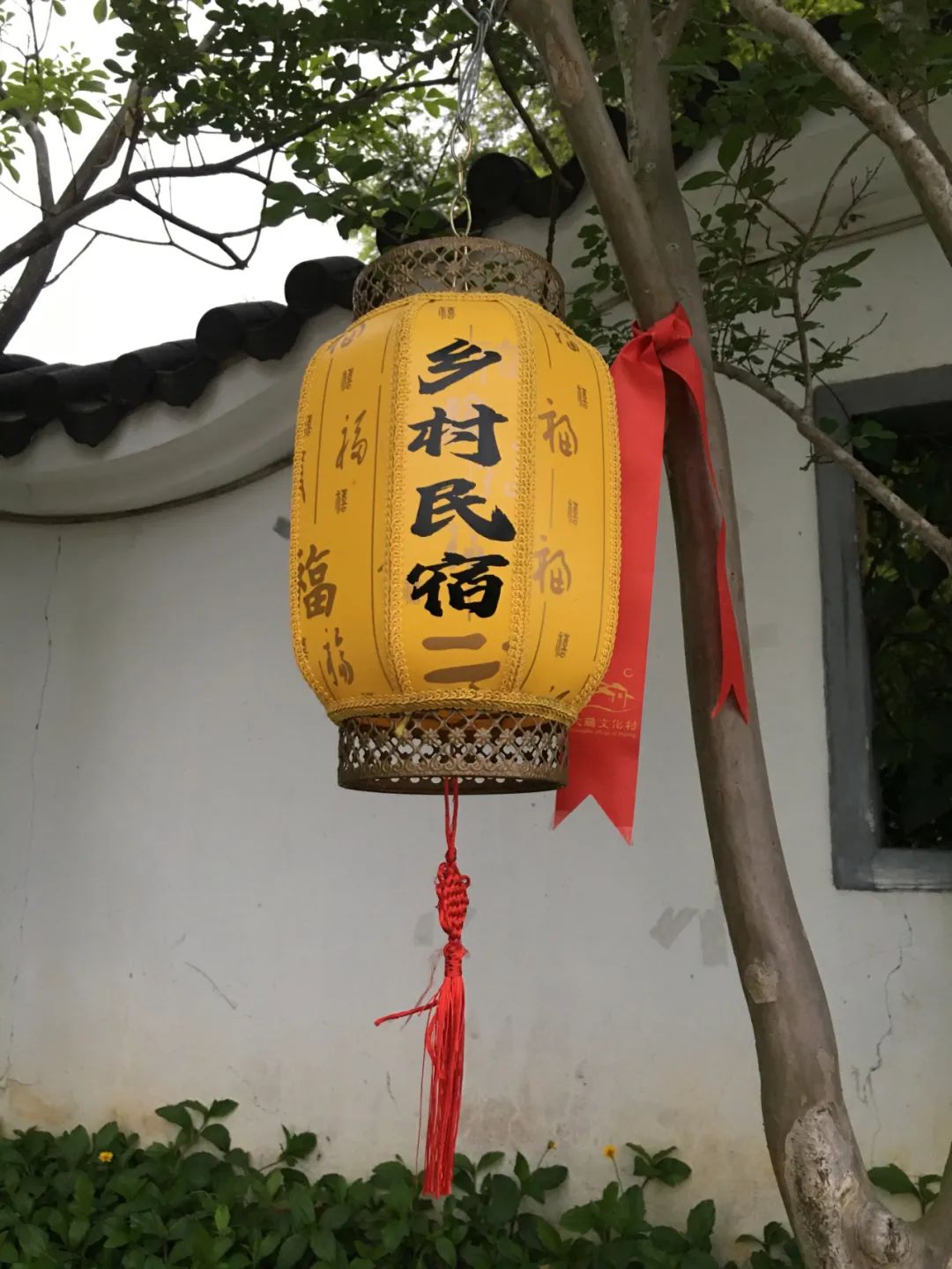 《旭光骑行深圳》第19站——大鹏新区大鹏街道