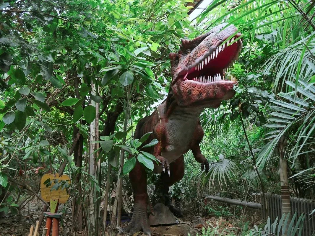 北京植物园的赏花的最好时节,西山秘境惊艳北京的植物