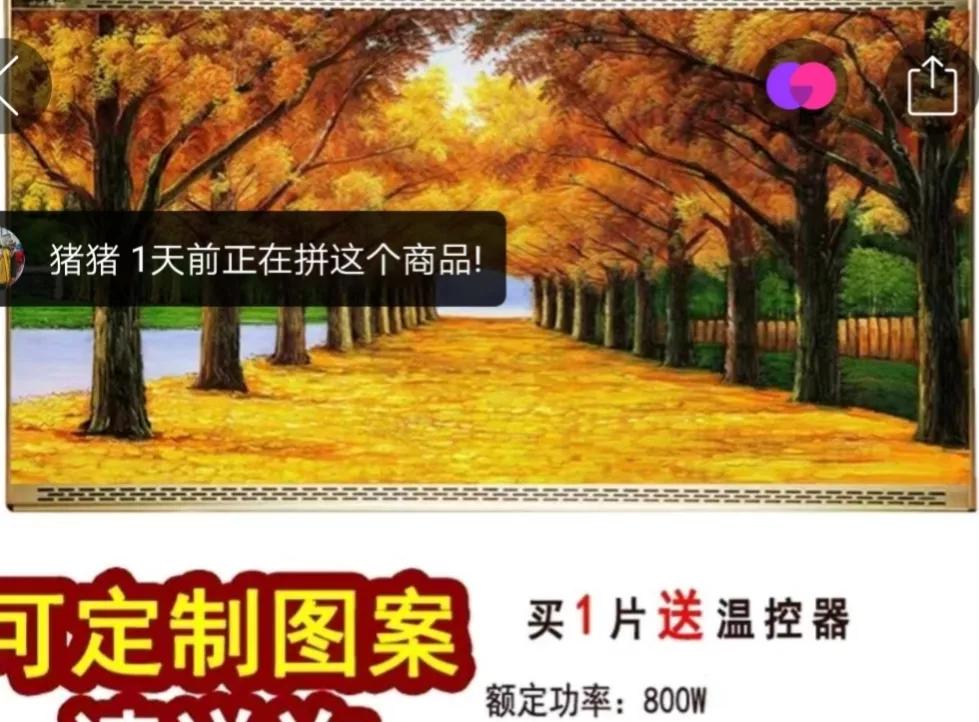 太阳能取暖阳光房,农村20平米的房子冬季取暖神器