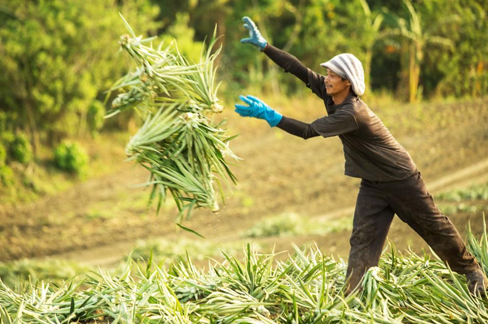 中国对菲律宾开放签证了吗现在,中国对菲律宾最新报道