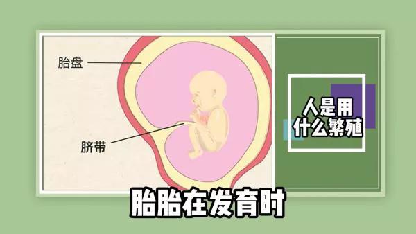 人体的精子是如何产生的,人的精子怎么样才能存活