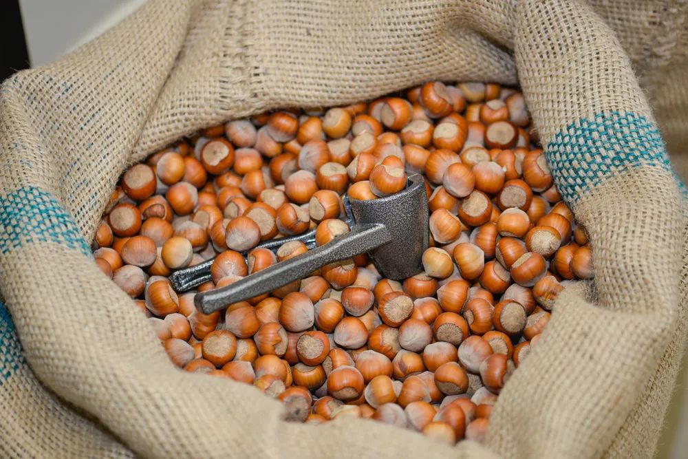 吃坚果会胖还是减肥,吃坚果真的好吗