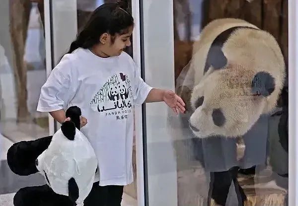 世界杯里的中国元素,2022世界杯的中国元素有哪些