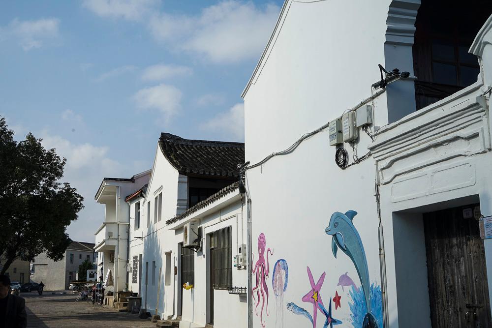 到浙江舟山群岛来体验慢生活吧