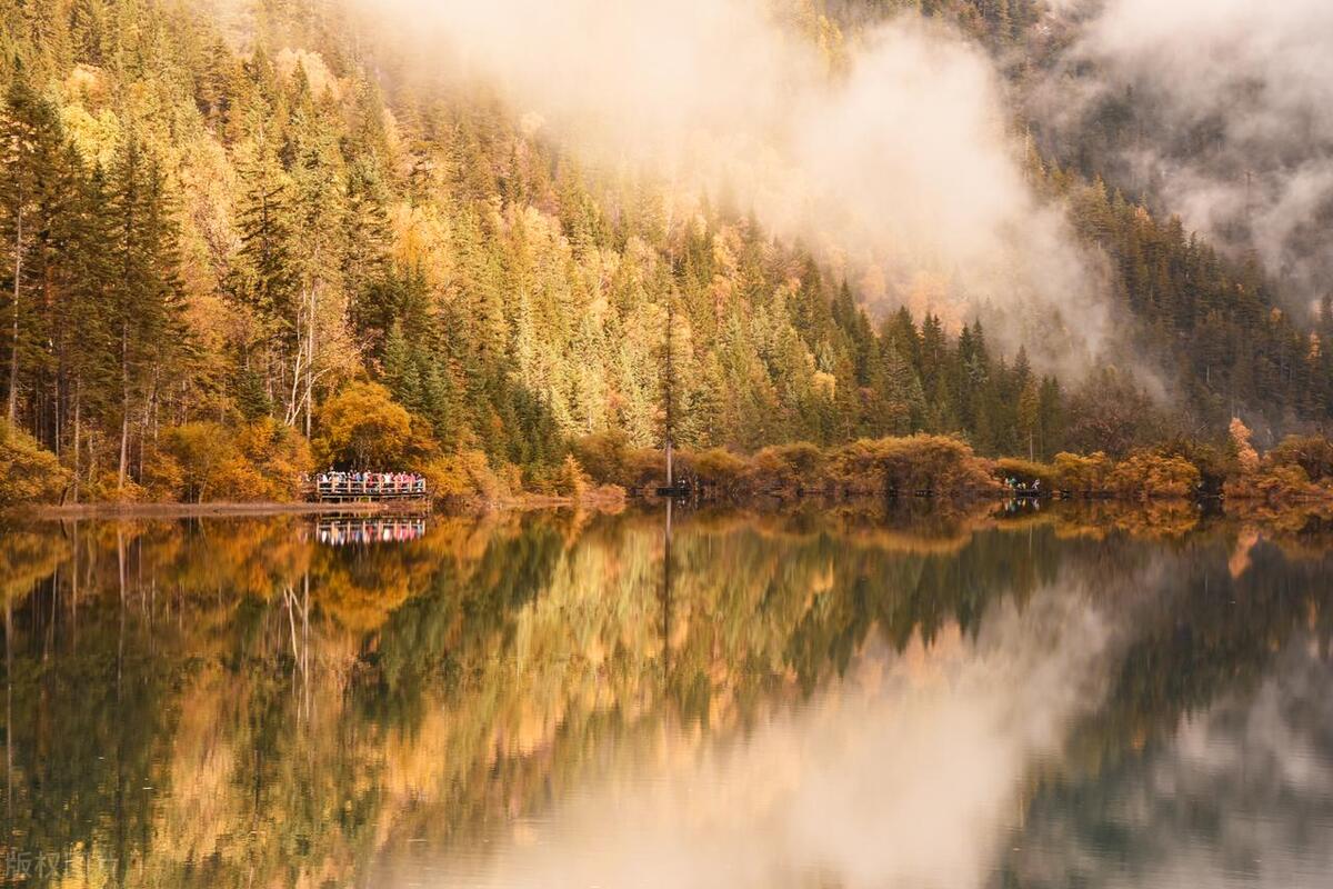 三种高情商的表达方式,别人说太感谢了高情商怎么回复