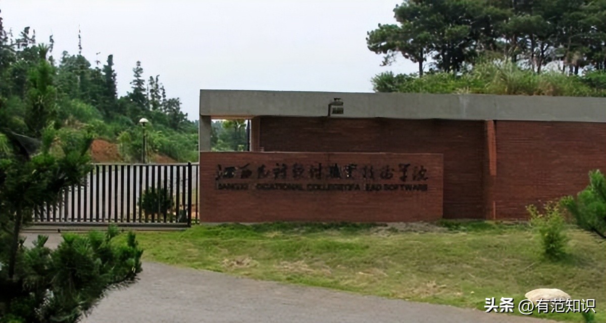 曹晓洁高考多少分,中国第一专科生曹晓洁