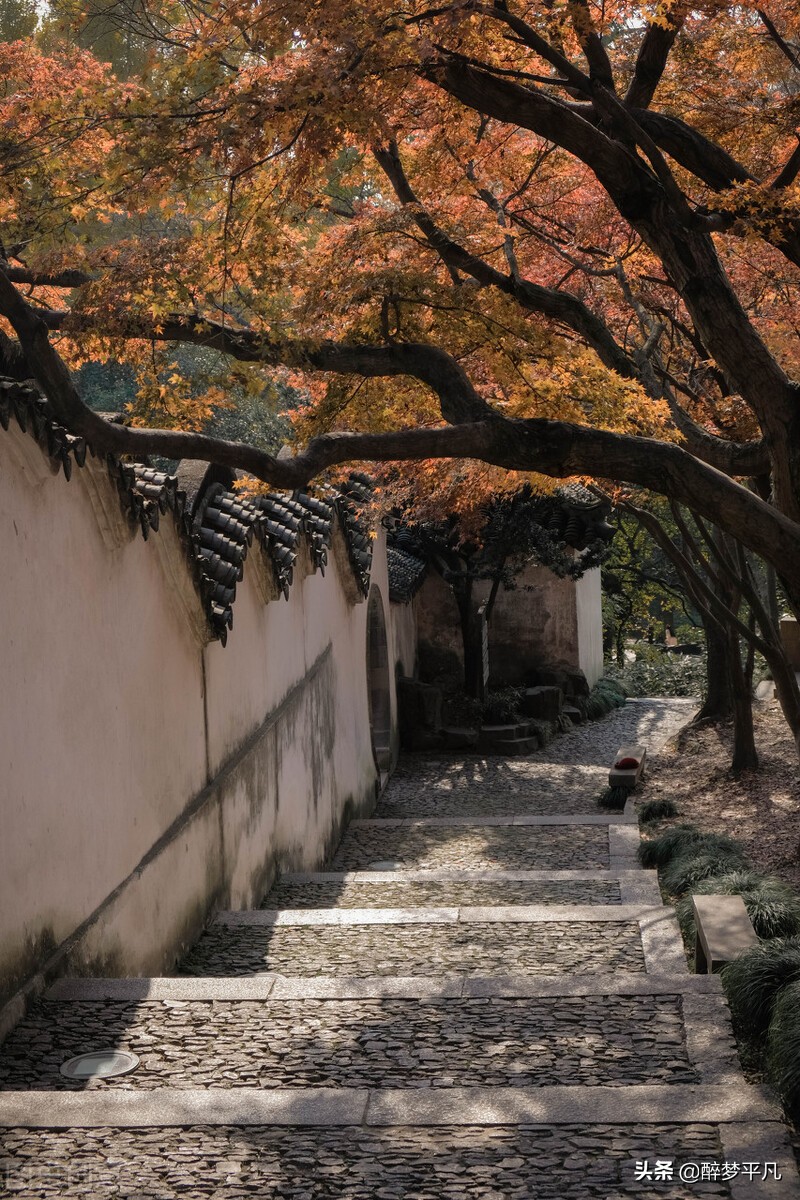 虎丘风景名胜区,苏州虎丘景区今天是否开放