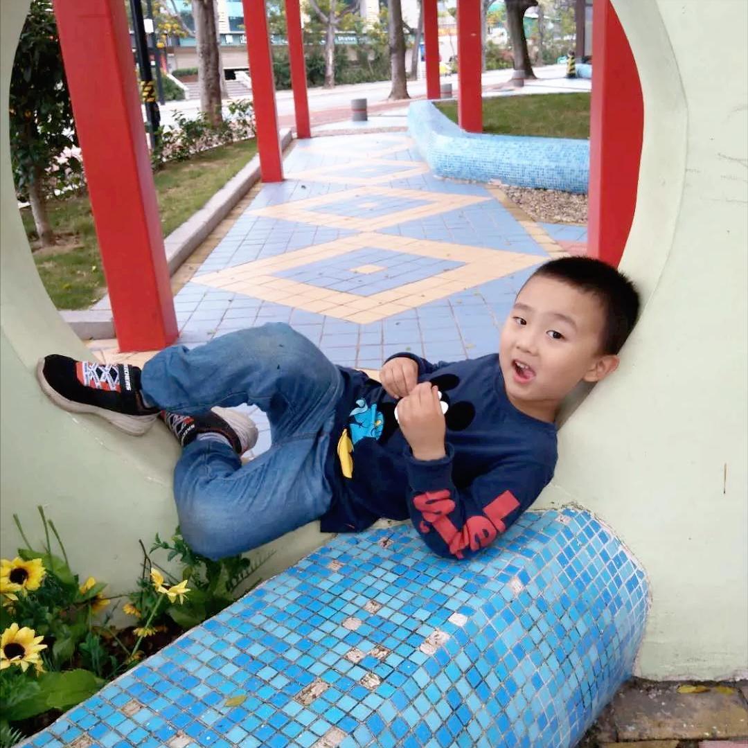 洋洋的故事,洋洋的背后的故事