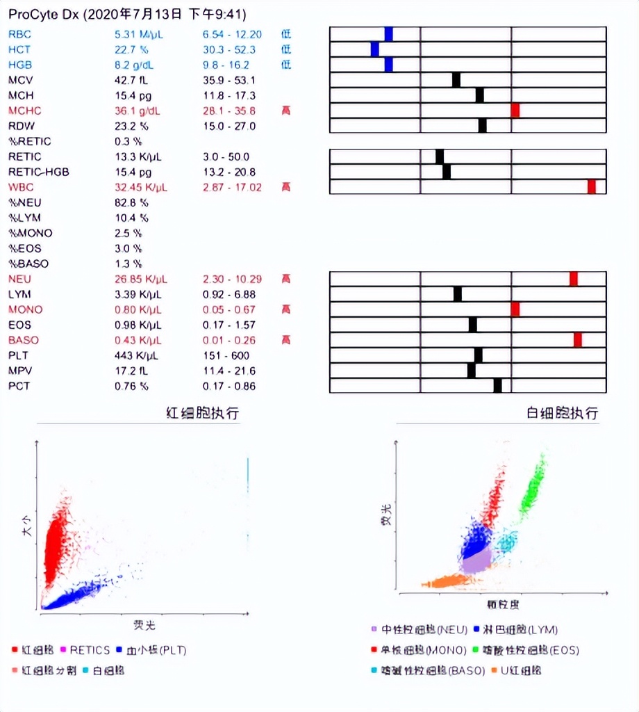 猫咪得了口炎谁有好办法治疗,猫咪得了口炎需要打什么针