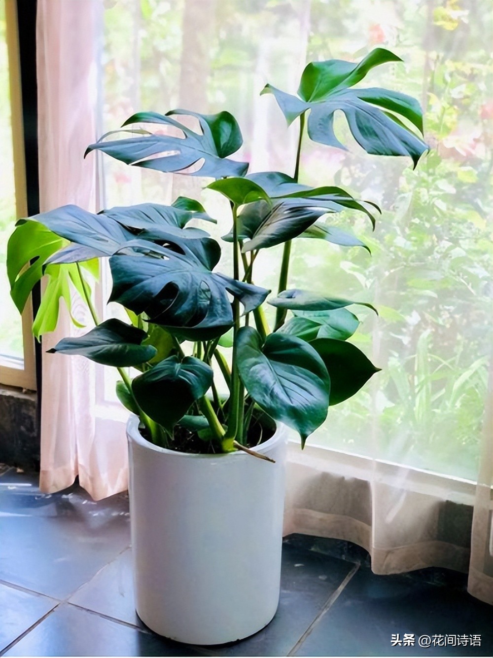 屋内除甲醛效果最好的方法,屋内除甲醛最好的方法