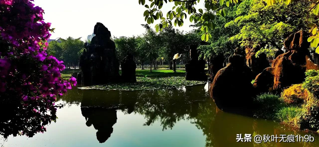 55天云南的孤独之旅,60岁老人拍55天云南的孤独旅行