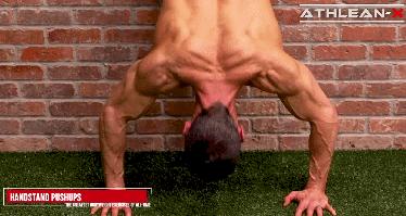 健身必备50个经典动作,锻炼全身的动作30分钟健身男士