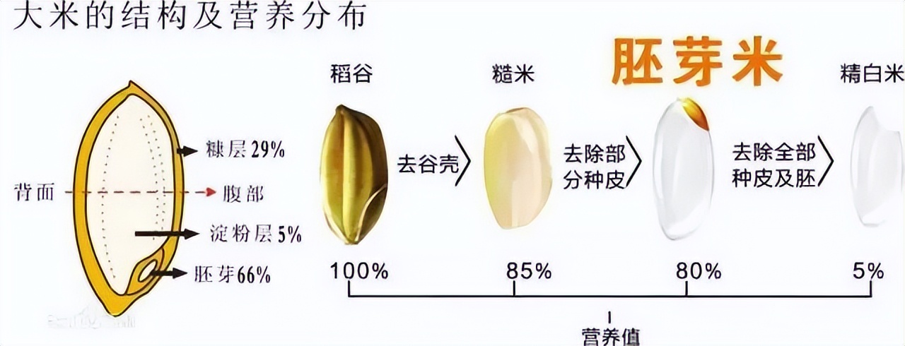 糙米有十种颜色吗,糙米的各种美食