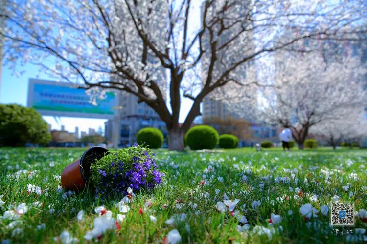 爱上赤峰的十二个理由,爱上镇江100个理由